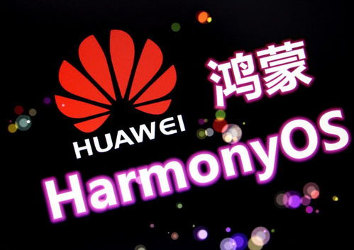 華為P50最新細節確定，鴻蒙也有新消息，幸福來得真突然
